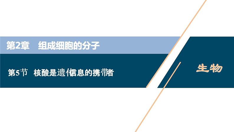 第2章第5节　核酸是遗传信息的携带者--（新教材）2021年人教版（2019）高中生物必修1课件第1页