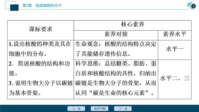 第2章第5节　核酸是遗传信息的携带者--（新教材）2021年人教版（2019）高中生物必修1课件第3页