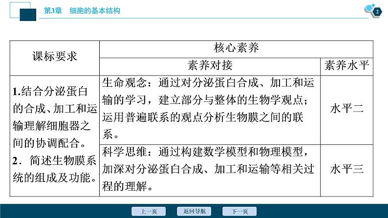 第3章第2节　第2课时　细胞器之间的协调配合--（新教材）2021年人教版（2019）高中生物必修1课件第3页