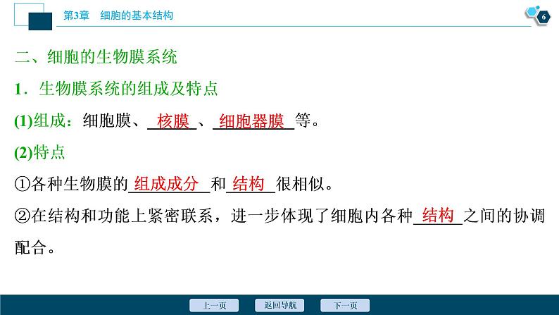 第3章第2节　第2课时　细胞器之间的协调配合--（新教材）2021年人教版（2019）高中生物必修1课件第7页