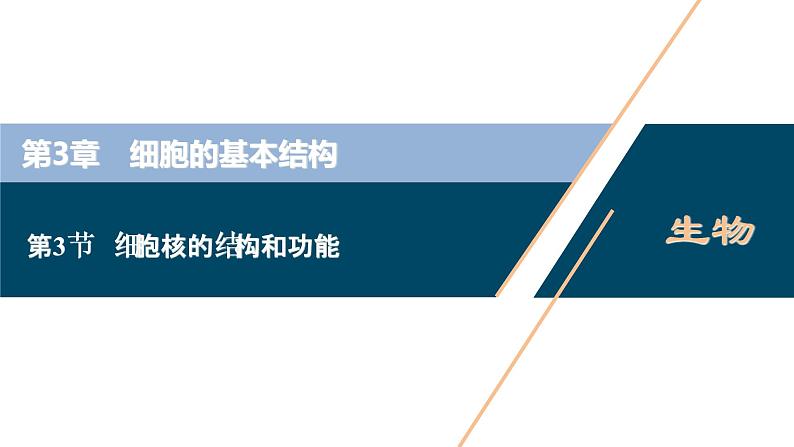 第3章第3节　细胞核的结构和功能--（新教材）2021年人教版（2019）高中生物必修1课件第1页