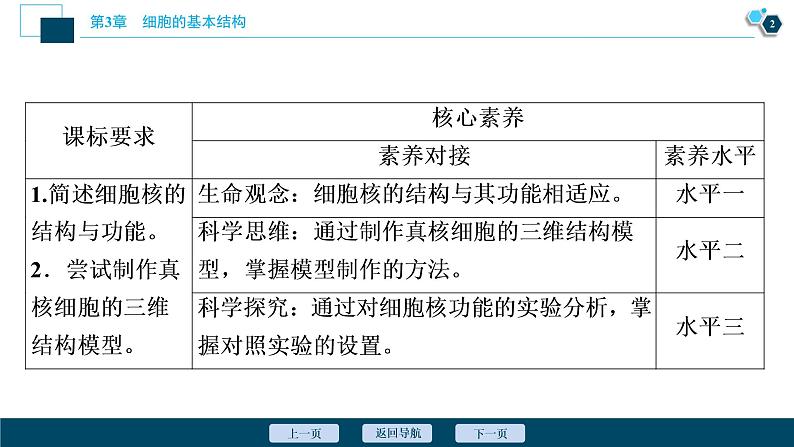 第3章第3节　细胞核的结构和功能--（新教材）2021年人教版（2019）高中生物必修1课件第3页