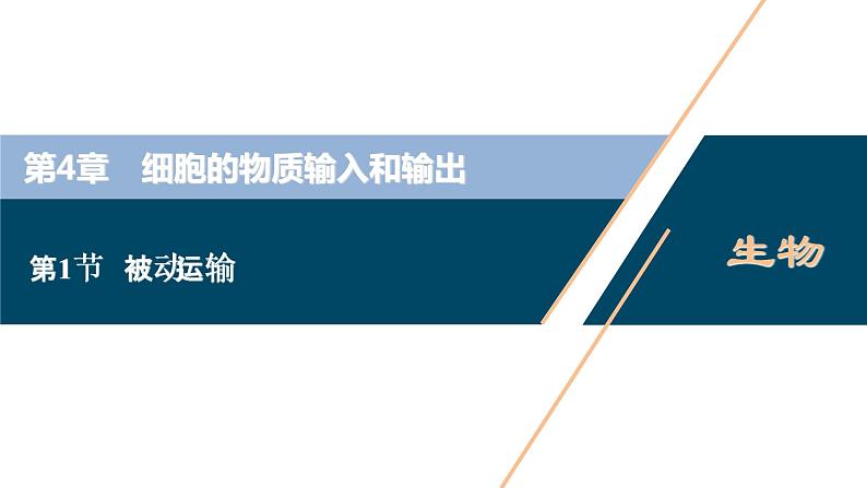 第4章第1节　被动运输--（新教材）2021年人教版（2019）高中生物必修1课件01