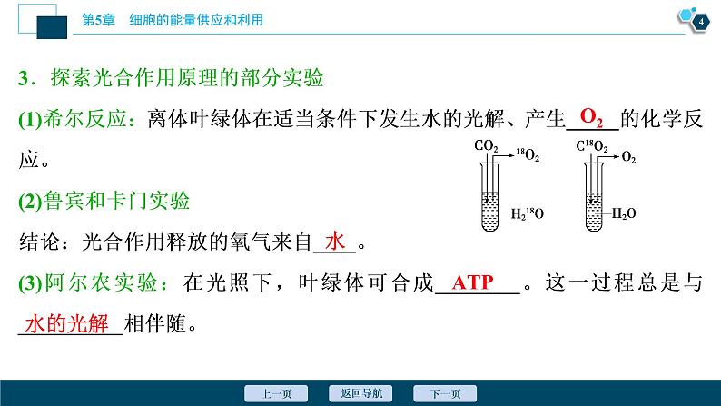 第5章第4节　二　第1课时　光合作用的原理--（新教材）2021年人教版（2019）高中生物必修1课件05