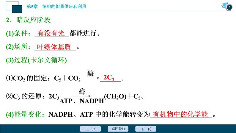 第5章第4节　二　第1课时　光合作用的原理--（新教材）2021年人教版（2019）高中生物必修1课件07