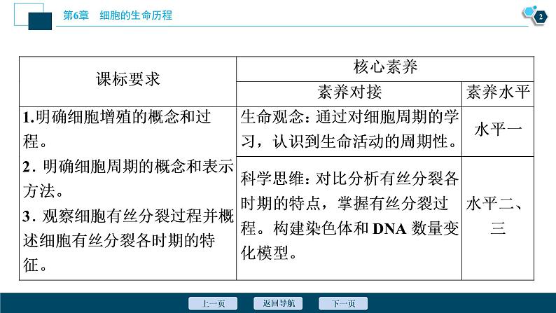 第6章第1节　第1课时　细胞周期和高等植物细胞的有丝分裂--（新教材）2021年人教版（2019）高中生物必修1课件03