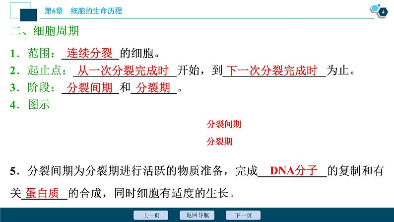 第6章第1节　第1课时　细胞周期和高等植物细胞的有丝分裂--（新教材）2021年人教版（2019）高中生物必修1课件05