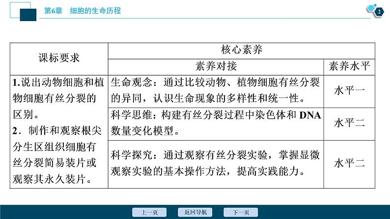 第6章第1节　第2课时　动物细胞的有丝分裂、无丝分裂　观察根尖分生区组织细胞的有丝分裂--（新教材）2021年人教版（2019）高中生物必修1课件第3页