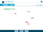 第6章第1节　第2课时　动物细胞的有丝分裂、无丝分裂　观察根尖分生区组织细胞的有丝分裂--（新教材）2021年人教版（2019）高中生物必修1课件