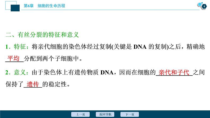 第6章第1节　第2课时　动物细胞的有丝分裂、无丝分裂　观察根尖分生区组织细胞的有丝分裂--（新教材）2021年人教版（2019）高中生物必修1课件第5页