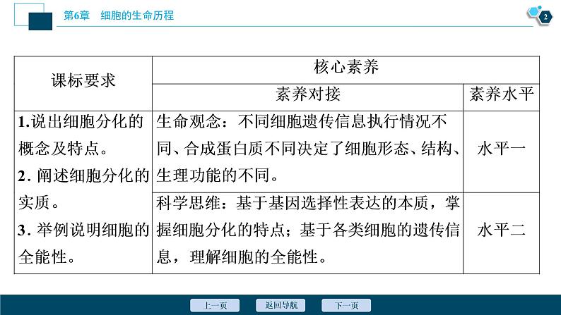 第6章第2节　细胞的分化--（新教材）2021年人教版（2019）高中生物必修1课件03