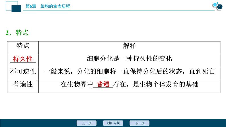 第6章第2节　细胞的分化--（新教材）2021年人教版（2019）高中生物必修1课件05