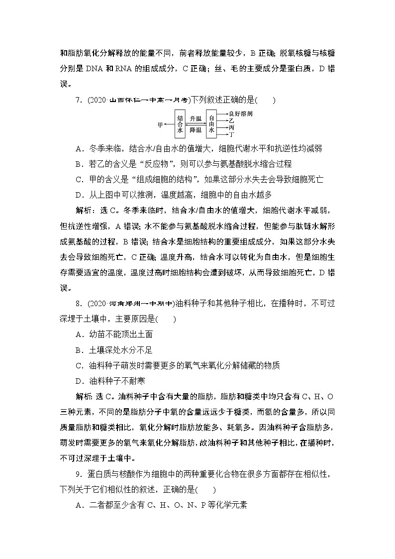 第2章阶段性检测(一)--（新教材）2021年人教版（2019）高中生物必修1同步练习第3页