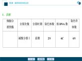 第2章第1节   一　减数分裂(Ⅱ)(加强提升课)--（新教材）2021年人教版（2019）高中生物必修2课件