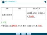 第2章第1节   二　受精作用--（新教材）2021年人教版（2019）高中生物必修2课件
