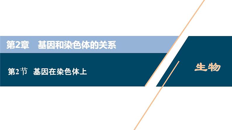 第2章第2节　基因在染色体上--（新教材）2021年人教版（2019）高中生物必修2课件第1页