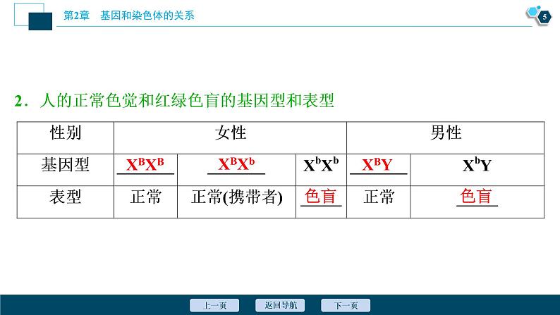 第2章第3节　伴性遗传(Ⅰ)--（新教材）2021年人教版（2019）高中生物必修2课件06