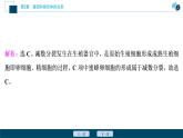 第2章章末综合检测(二)--（新教材）2021年人教版（2019）高中生物必修2课件
