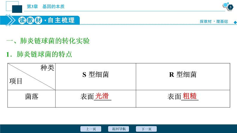 第3章第1节　DNA是主要的遗传物质--（新教材）2021年人教版（2019）高中生物必修2课件04