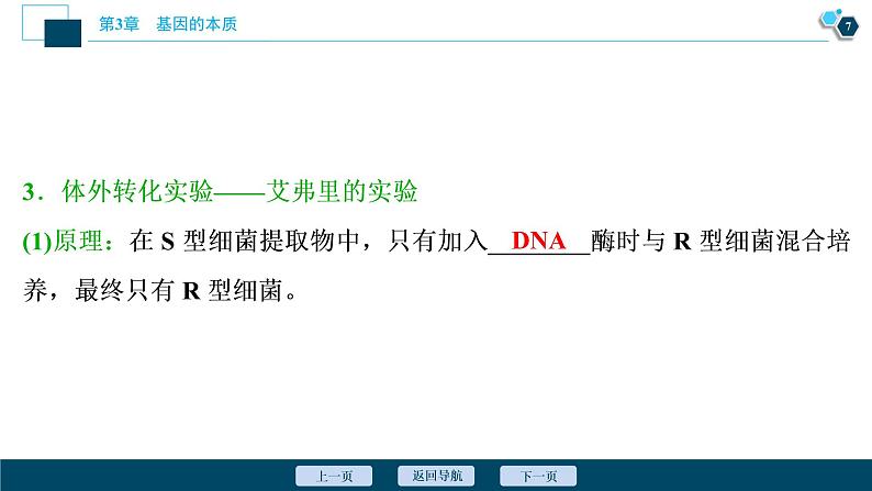 第3章第1节　DNA是主要的遗传物质--（新教材）2021年人教版（2019）高中生物必修2课件08
