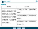 第3章第2节　DNA的结构--（新教材）2021年人教版（2019）高中生物必修2课件