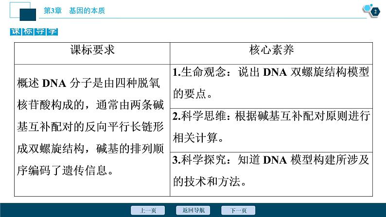 第3章第2节　DNA的结构--（新教材）2021年人教版（2019）高中生物必修2课件03