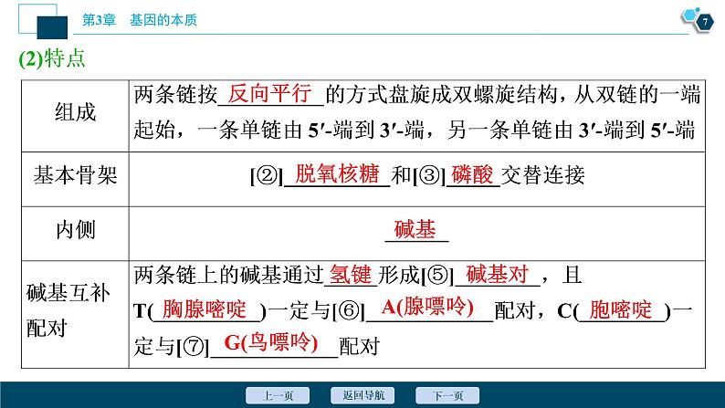 第3章第2节　DNA的结构--（新教材）2021年人教版（2019）高中生物必修2课件08