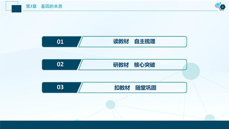 第3章第3节　DNA的复制--（新教材）2021年人教版（2019）高中生物必修2课件第2页