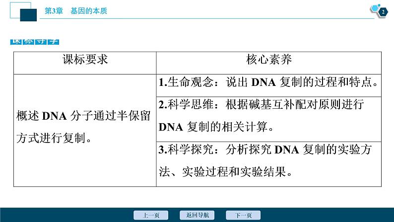 第3章第3节　DNA的复制--（新教材）2021年人教版（2019）高中生物必修2课件第3页