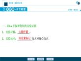 第3章第3节　DNA的复制--（新教材）2021年人教版（2019）高中生物必修2课件