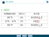 第3章第3节　DNA的复制--（新教材）2021年人教版（2019）高中生物必修2课件