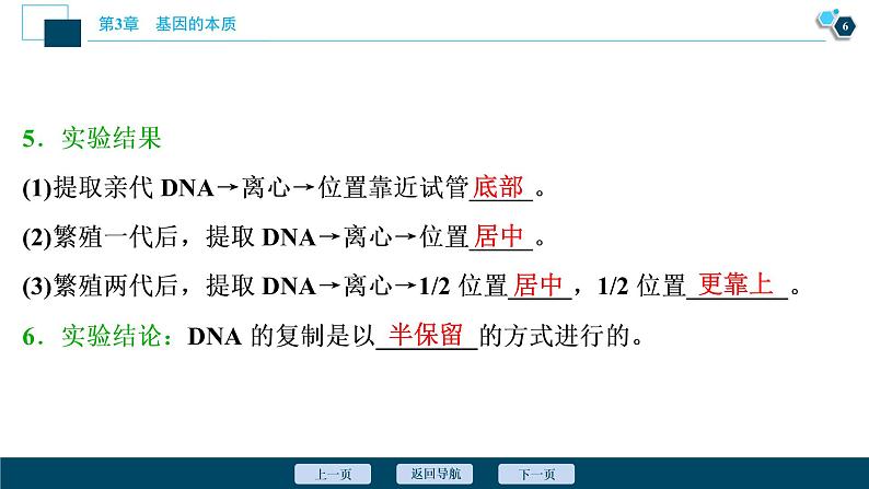 第3章第3节　DNA的复制--（新教材）2021年人教版（2019）高中生物必修2课件第7页