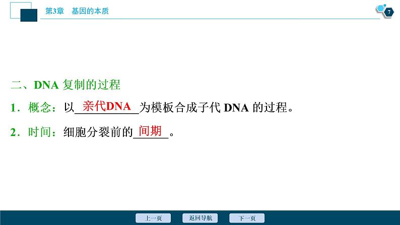 第3章第3节　DNA的复制--（新教材）2021年人教版（2019）高中生物必修2课件第8页