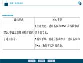第3章第4节　基因通常是有遗传效应的DNA片段--（新教材）2021年人教版（2019）高中生物必修2课件