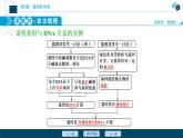 第3章第4节　基因通常是有遗传效应的DNA片段--（新教材）2021年人教版（2019）高中生物必修2课件