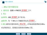 第3章第4节　基因通常是有遗传效应的DNA片段--（新教材）2021年人教版（2019）高中生物必修2课件