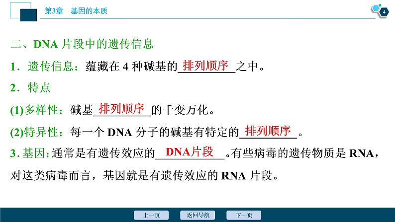 第3章第4节　基因通常是有遗传效应的DNA片段--（新教材）2021年人教版（2019）高中生物必修2课件第5页