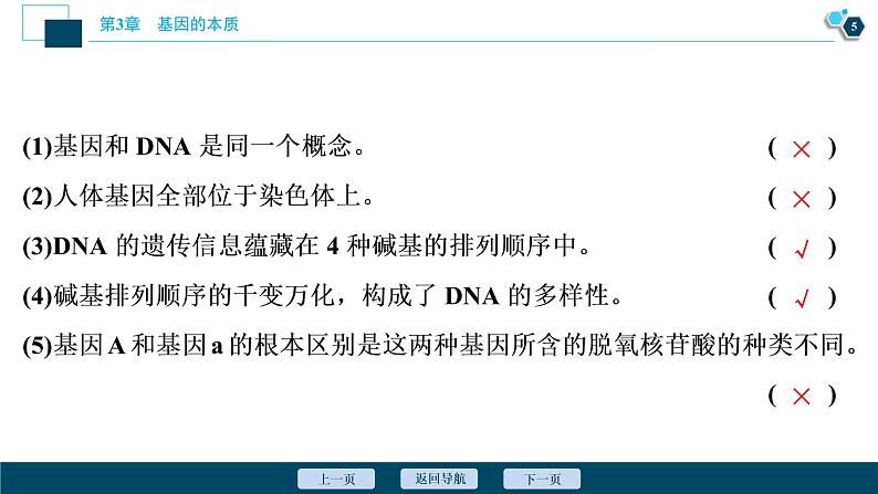 第3章第4节　基因通常是有遗传效应的DNA片段--（新教材）2021年人教版（2019）高中生物必修2课件第6页