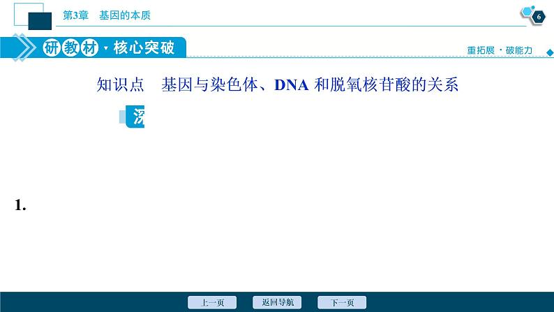 第3章第4节　基因通常是有遗传效应的DNA片段--（新教材）2021年人教版（2019）高中生物必修2课件第7页