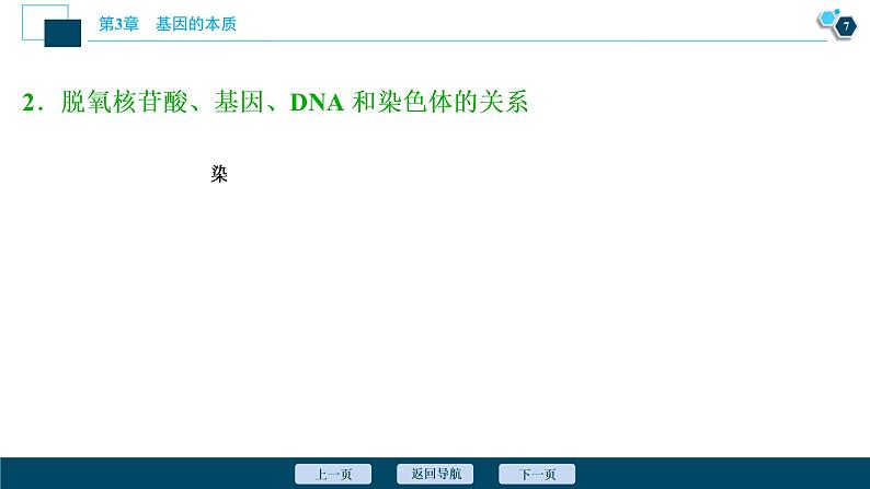 第3章第4节　基因通常是有遗传效应的DNA片段--（新教材）2021年人教版（2019）高中生物必修2课件第8页