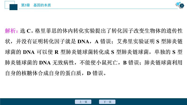 第3章章末综合检测(三)--（新教材）2021年人教版（2019）高中生物必修2课件03