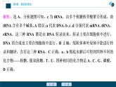 第4章章末综合检测(四)--（新教材）2021年人教版（2019）高中生物必修2课件