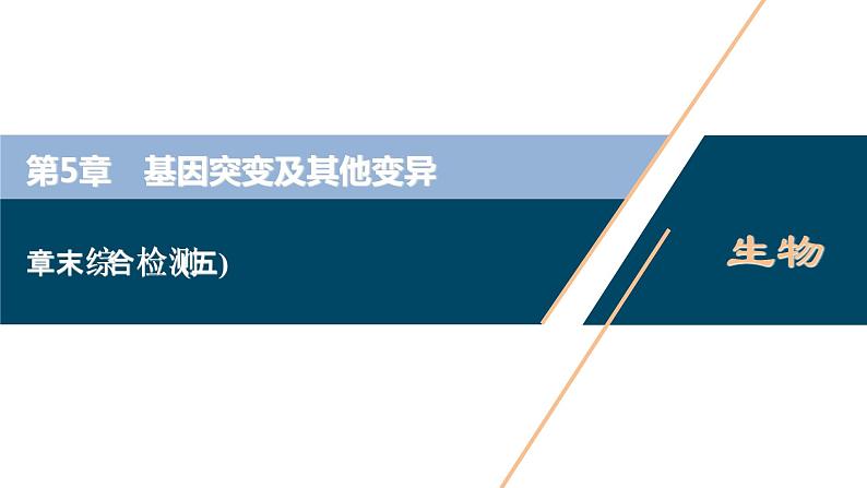 第5章章末综合检测(五)--（新教材）2021年人教版（2019）高中生物必修2课件01