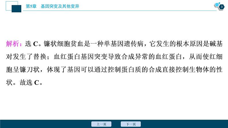 第5章章末综合检测(五)--（新教材）2021年人教版（2019）高中生物必修2课件04