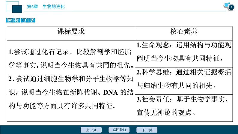 第6章第1节　生物有共同祖先的证据--（新教材）2021年人教版（2019）高中生物必修2课件03