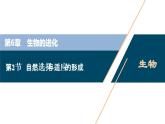 第6章第2节　自然选择与适应的形成--（新教材）2021年人教版（2019）高中生物必修2课件