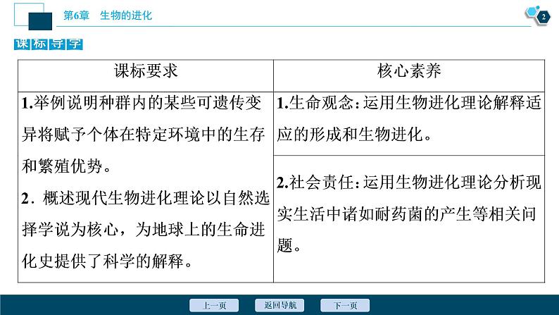 第6章第2节　自然选择与适应的形成--（新教材）2021年人教版（2019）高中生物必修2课件第3页