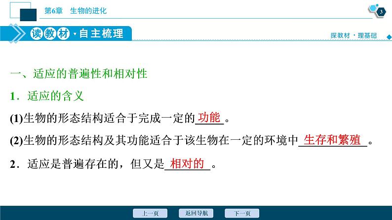 第6章第2节　自然选择与适应的形成--（新教材）2021年人教版（2019）高中生物必修2课件第4页