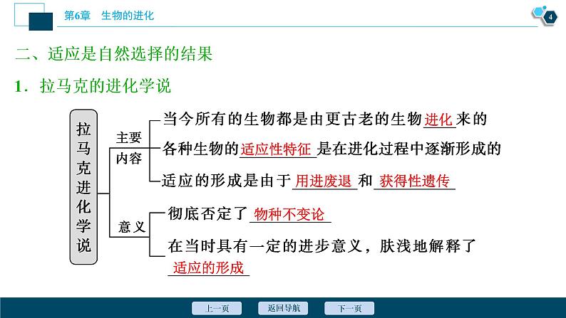 第6章第2节　自然选择与适应的形成--（新教材）2021年人教版（2019）高中生物必修2课件第5页