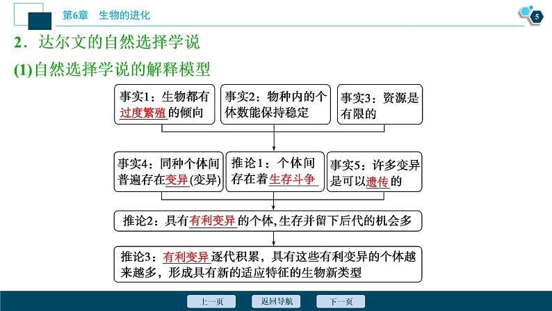 第6章第2节　自然选择与适应的形成--（新教材）2021年人教版（2019）高中生物必修2课件第6页